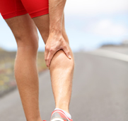 Leg Pain/Ankle Pain/Foot Pain